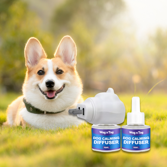 Wag N Tag Dog Calming Diffuser