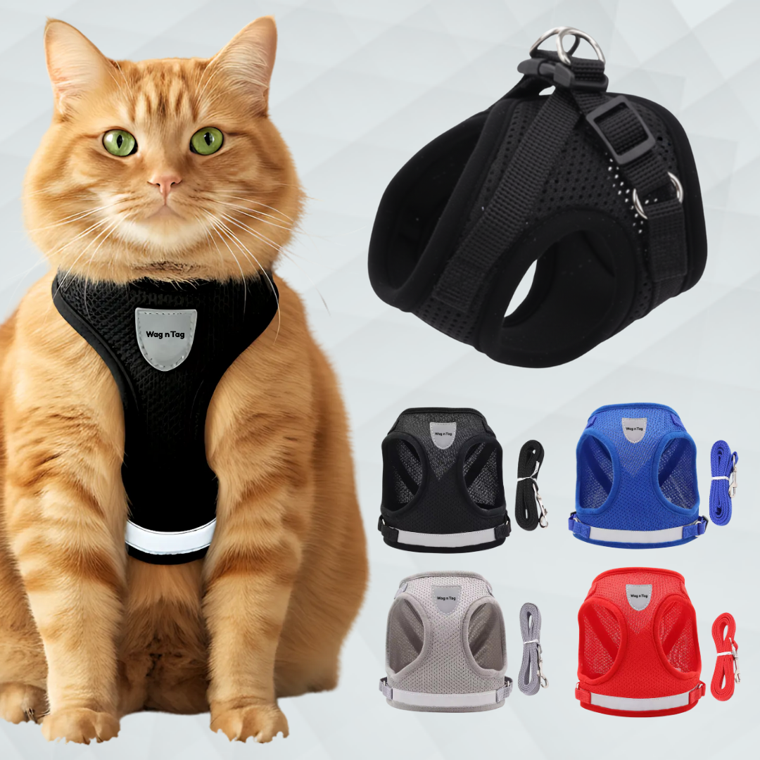 Wag n Tag "The Explorer" Escape-Proof Cat & Kitten Vest Harness and Leash