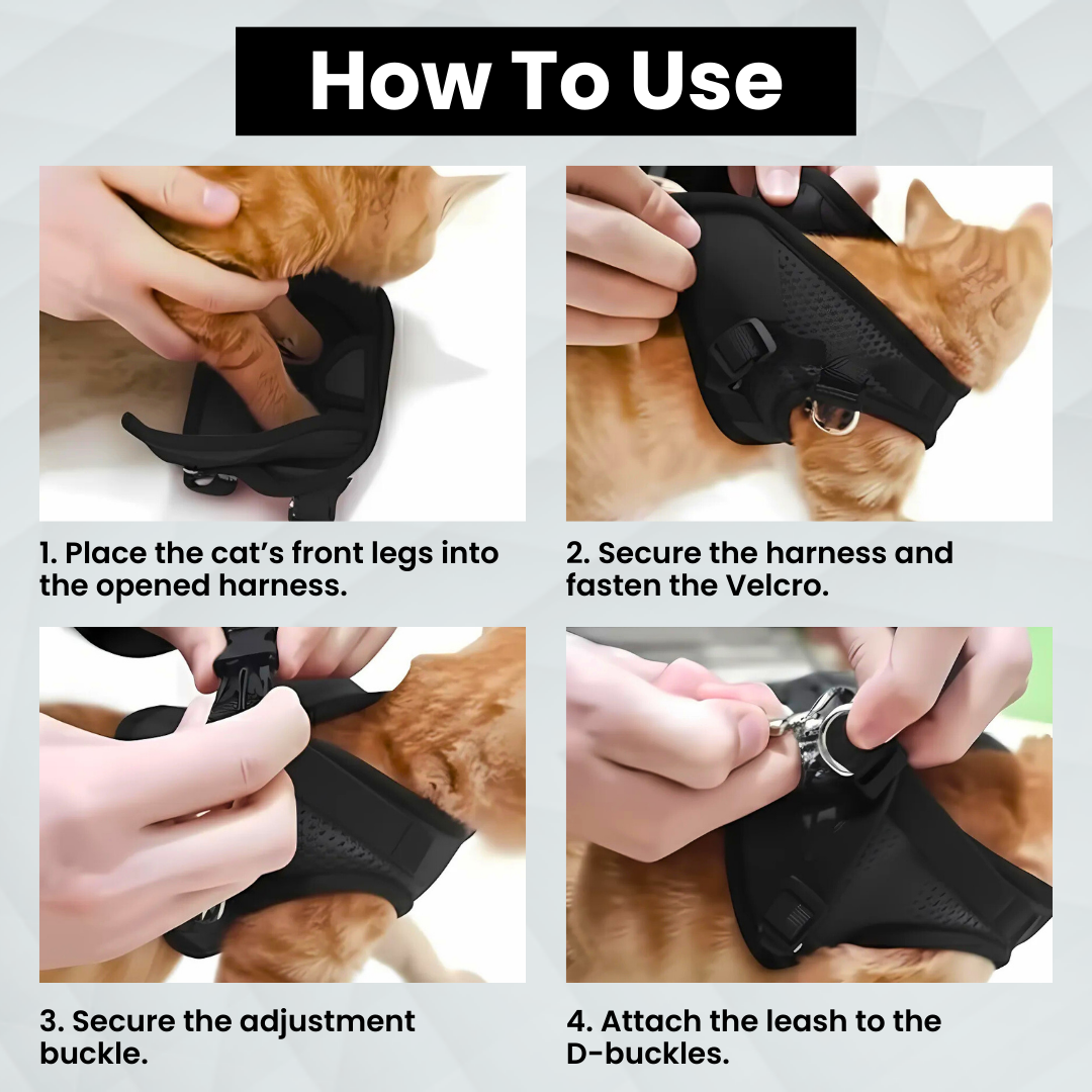 Wag n Tag "The Explorer" Escape-Proof Cat & Kitten Vest Harness and Leash