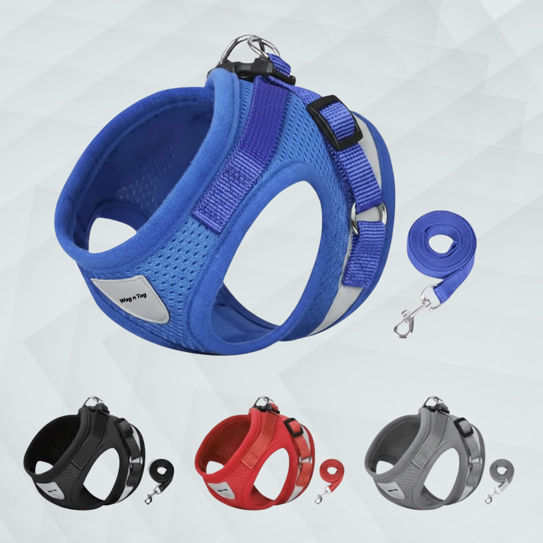 Wag n Tag "The Explorer" Escape-Proof Cat & Kitten Vest Harness and Leash