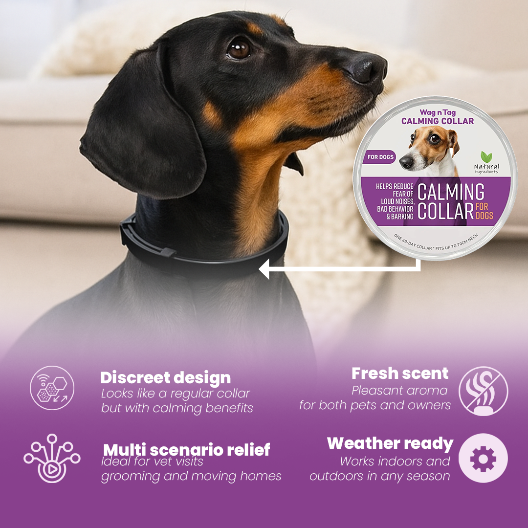 Wag N Tag  Calming Collar