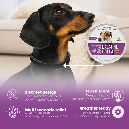 Wag N Tag  Calming Collar
