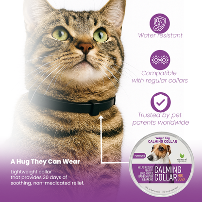 Wag N Tag  Calming Collar