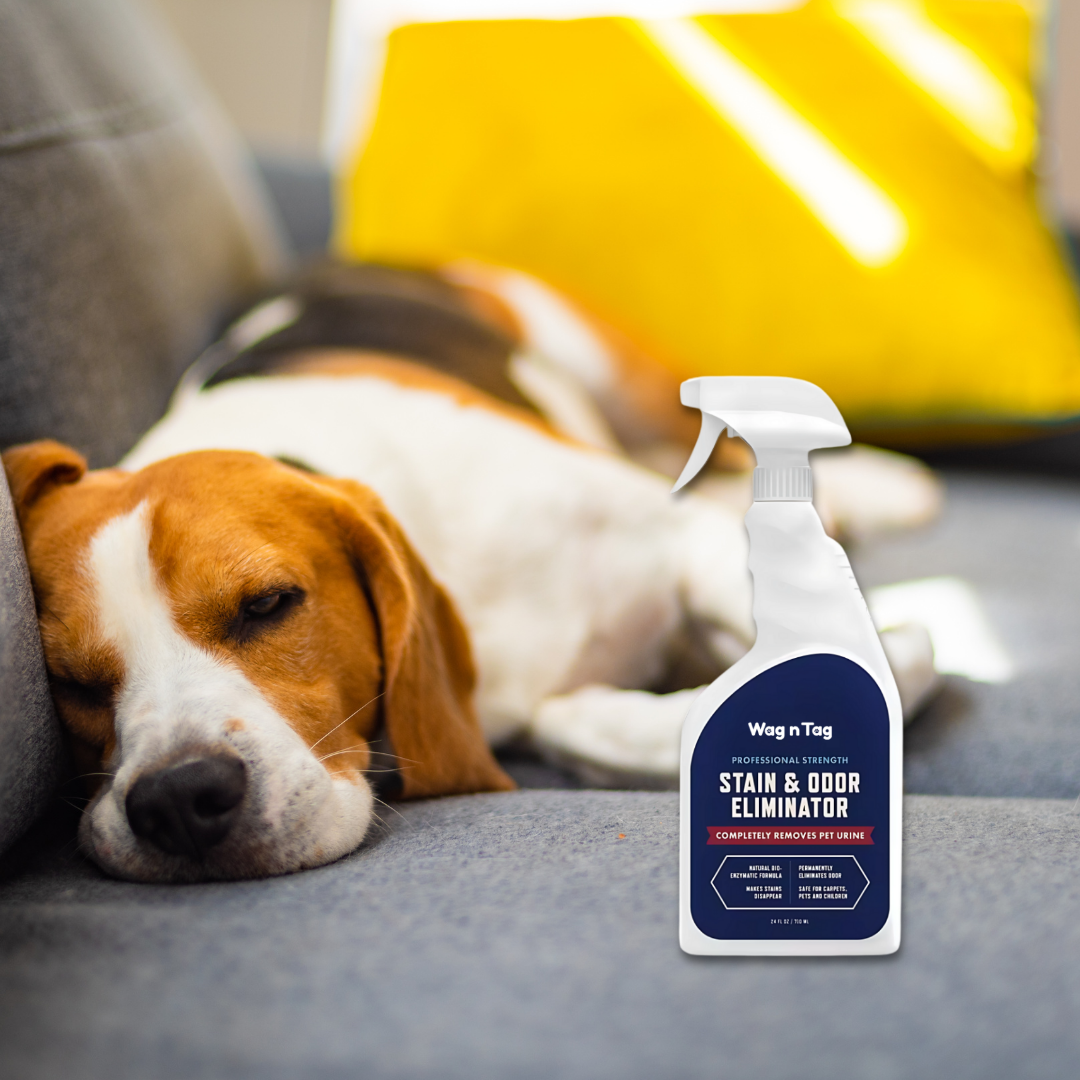Wag N Tag Stain & Odor Eliminator