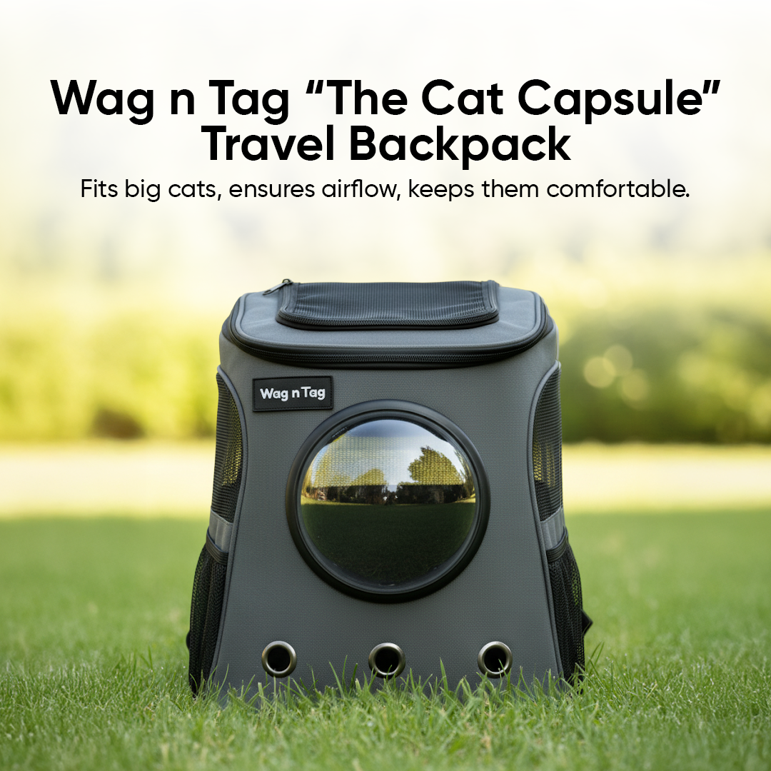 Wag n Tag The Cat Capsule Travel Backpack | For Larger Cats