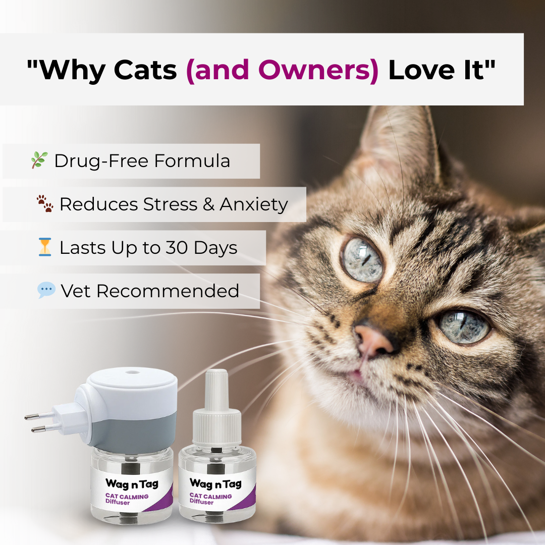 Wag N Tag Cat Calming Diffuser
