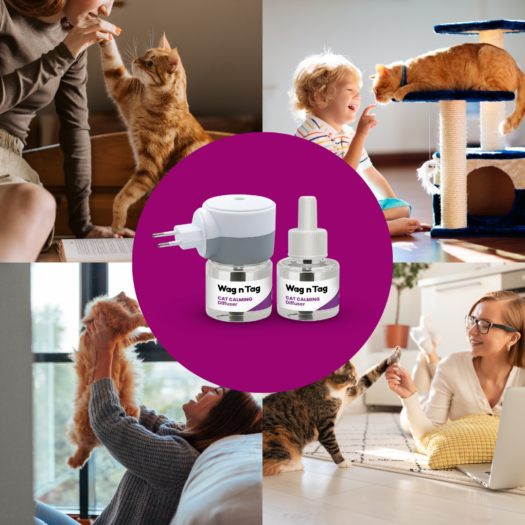 Wag N Tag Cat Calming Diffuser