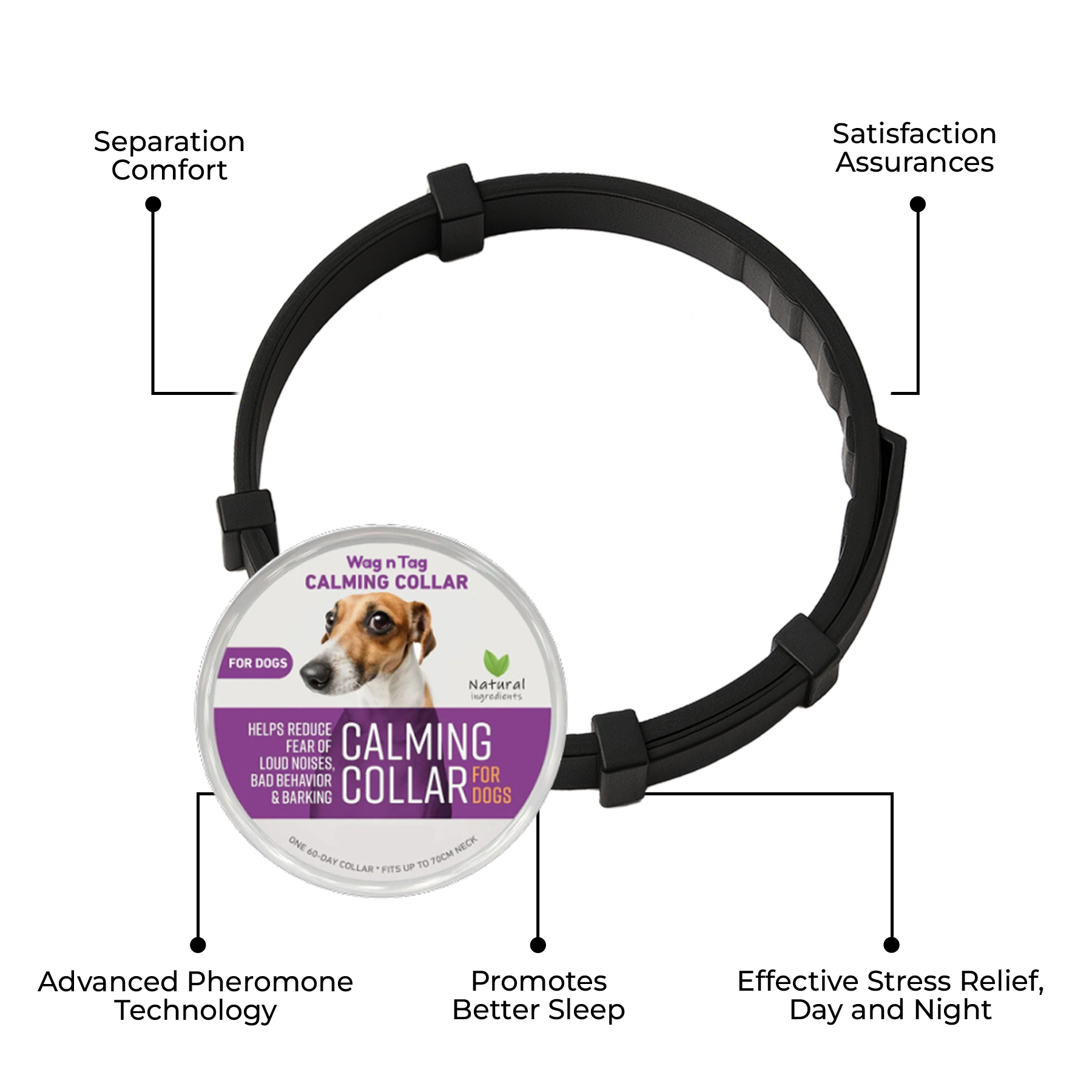 Meet the Wag N Tag Calming Collar, Your Dog’s All-in-One Stress Relief