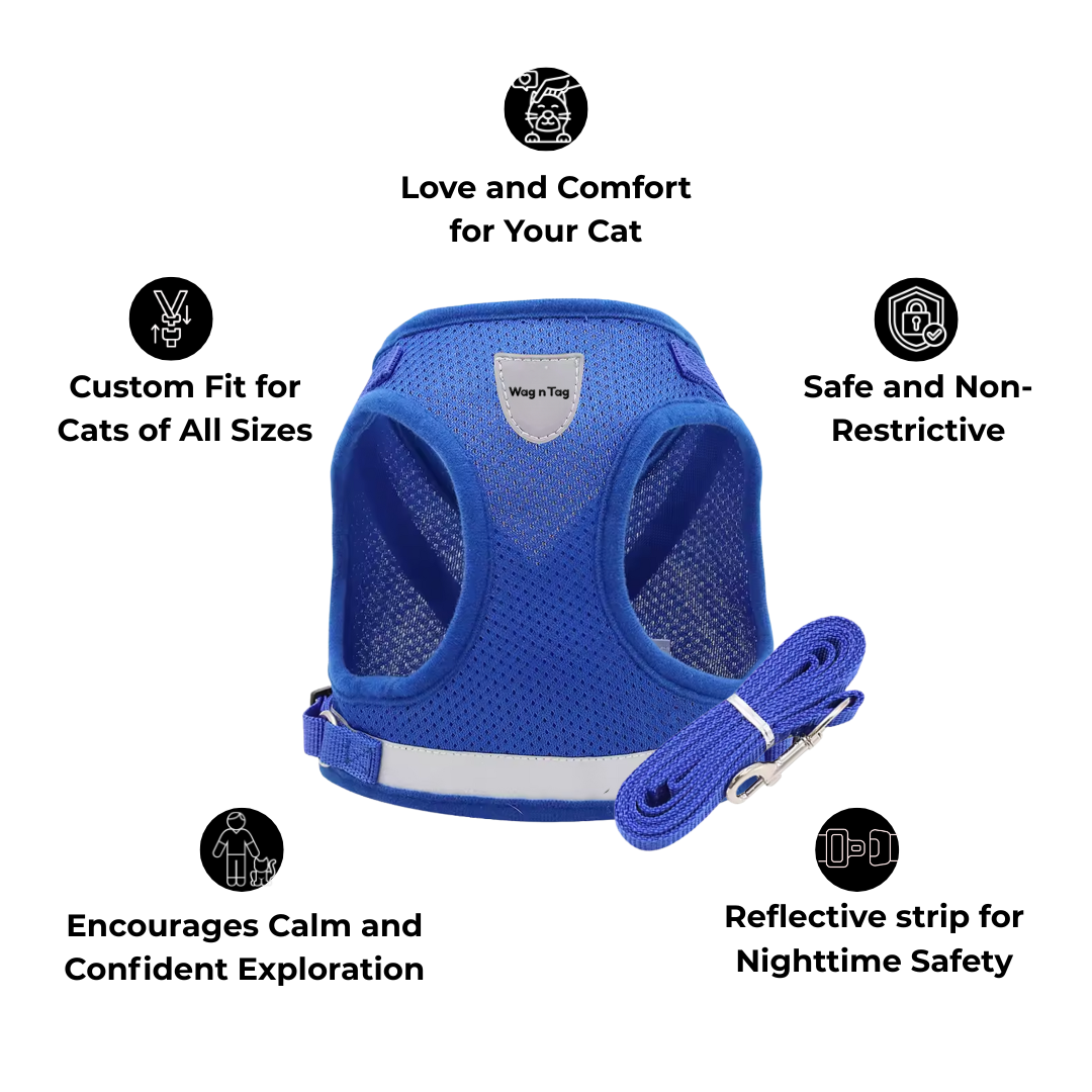 All-in-One Safety and Comfort for Adventurous Cats