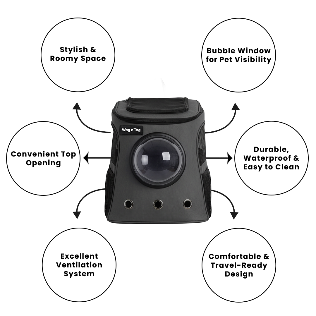 Meet The Cat Capsule Travel Backpack | For Larger Cats, Your All-in-One Travel Carrier