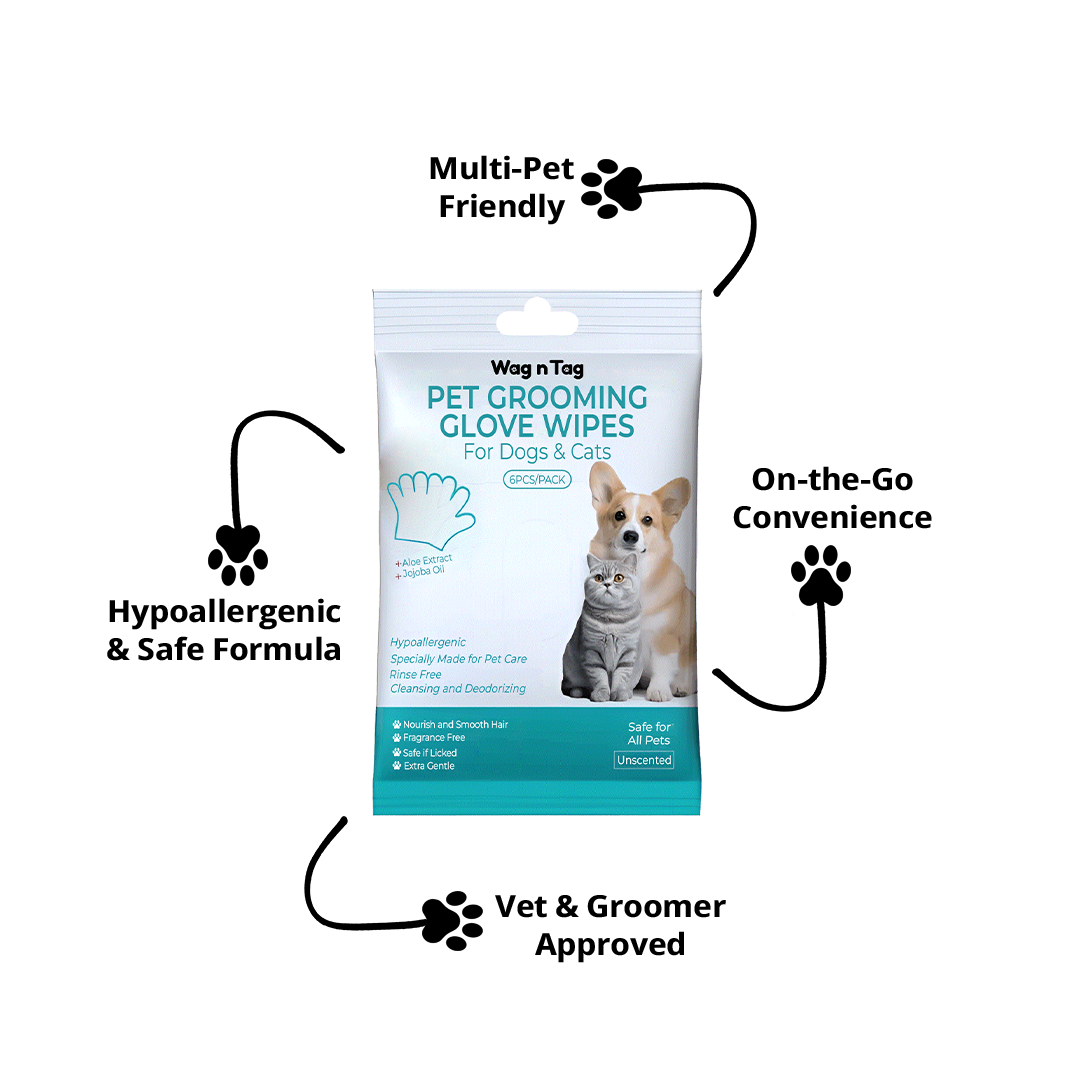 The Smarter, Gentler Way to Care for Your Pets