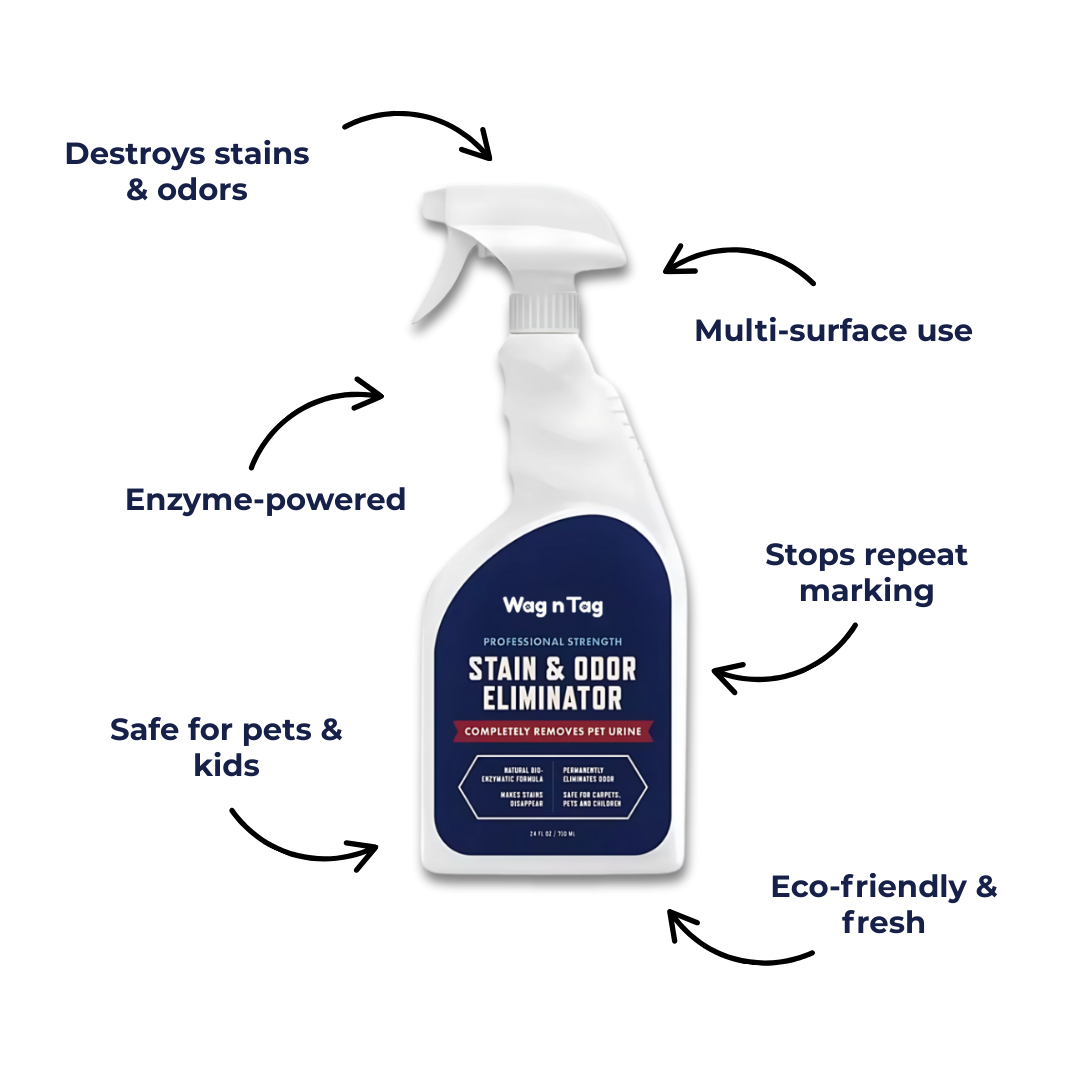 Meet the Wag N Tag Stain & Odor Eliminator