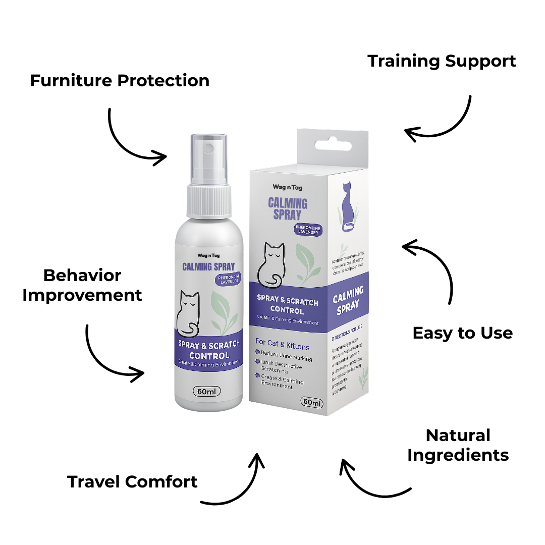 3 Ways Our Calming Spray Transforms Your Cat’s Life